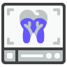 Root Canals